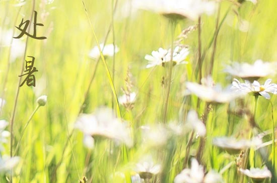 2024年农历几号处暑 2024年处暑能买鸭吗