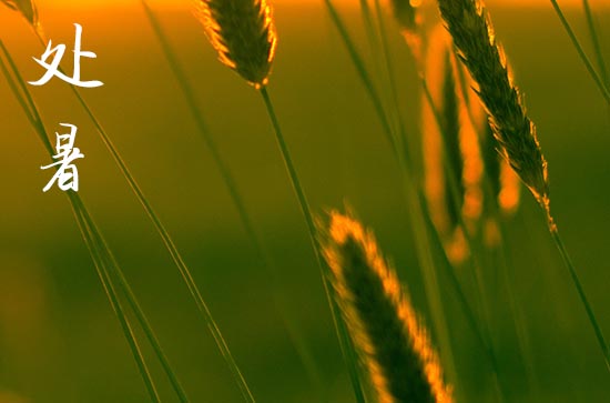 2024处暑是哪一天 2024年8月22日是处暑 2024处暑是哪一天 2024年8月22日是处暑