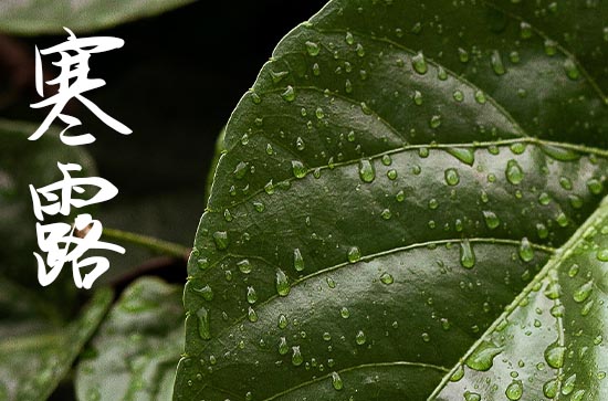 适合寒露发的简短祝福语