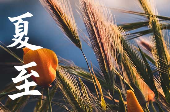 2023夏至是天最长的时候吗 为什么夏至过后会昼短夜长