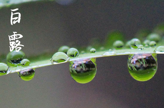 2024年白露是具体哪一天 2024白露那天安碓磑好吗