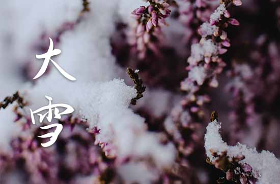 关于大雪节气祝福语15篇