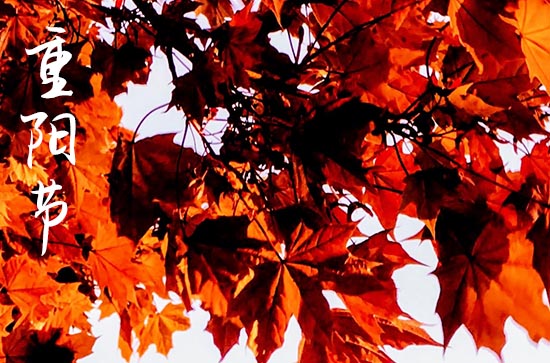 2024年是第几个老年节 重阳节习俗