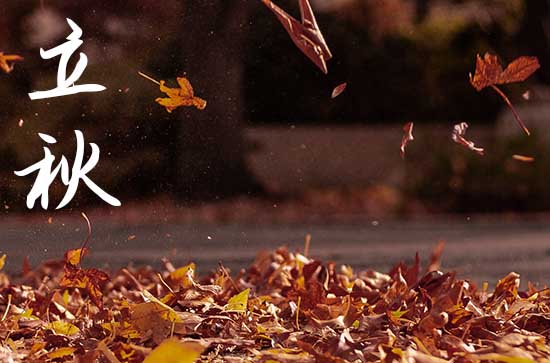 立秋是农历几月几日2024