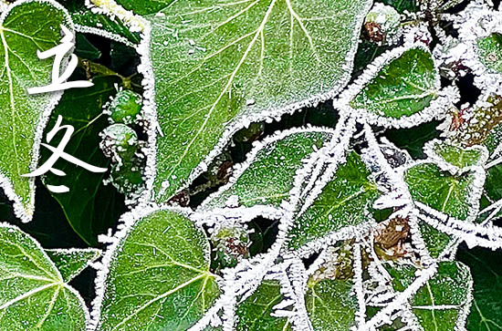 2024年立冬是什么时候时间 2024年立冬开工吉利吗 2024年立冬是什么时候时间 2024年立冬开工吉利吗