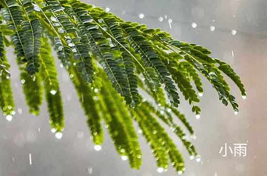 德州8月15日天气预报:高温31℃~低温23℃，小雨转雨，会下雨