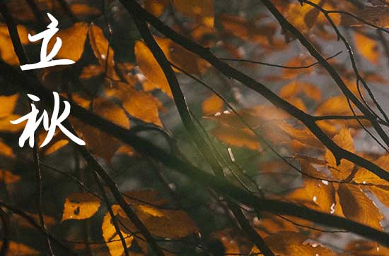 2024立秋是哪天 2024年8月7日立秋这天适合合帐吗