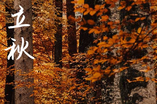 2024年立秋是几点几分几秒 2024立秋当天可以搬新屋吗