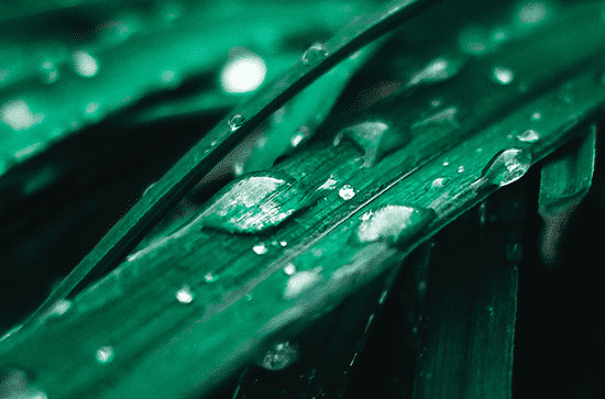 谷雨节气是24节气中的第几个节气 谷雨是24节气的第六个