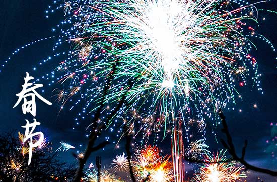 2024春节家庭祝福语10篇