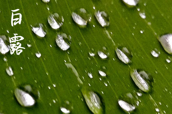 白露是几月几号2024年 2024年9月7日白露修理仓库适合吗