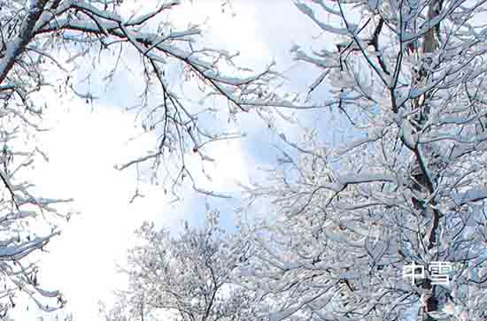 河南12月13日再迎大范围雨雪局地大暴雪 驻马店未来三天天气预报