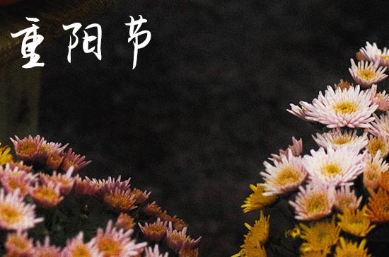 2023重阳节快乐的朋友圈经典祝福语