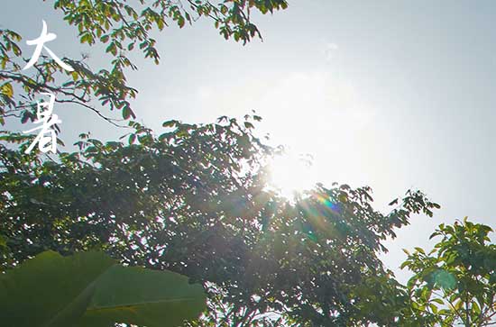 2023年大暑是几月几号开始到结束 2023大暑到几号为止