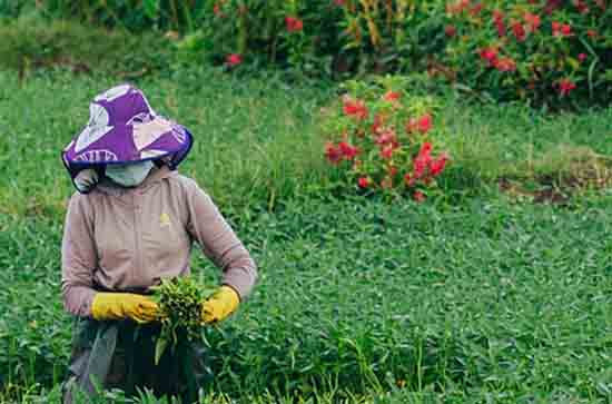 2023年五一高速公路免费吗 2023五一高速免费时间