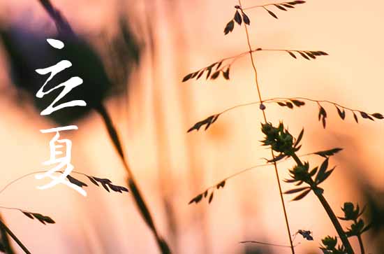 2024年立夏时间是什么时候 2024年5月5日立夏这天宜开鱼池吗