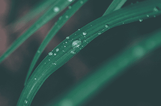 梅雨季节2023什么时间入梅 梅雨季节是几月