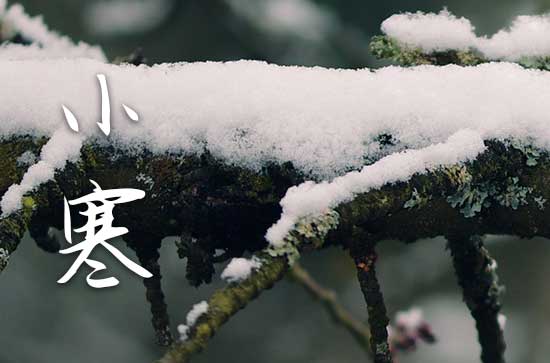 小寒手机短信祝福语（精选40句）