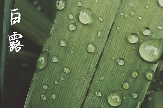 2024年白露是什么时候 2024年9月7日白露建造桥梁可以吗