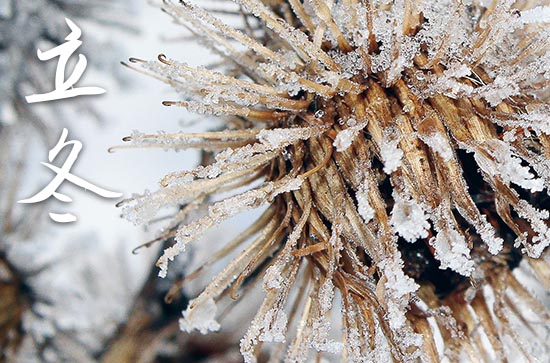 2023年立冬是星期几 2023年立冬生子行吗