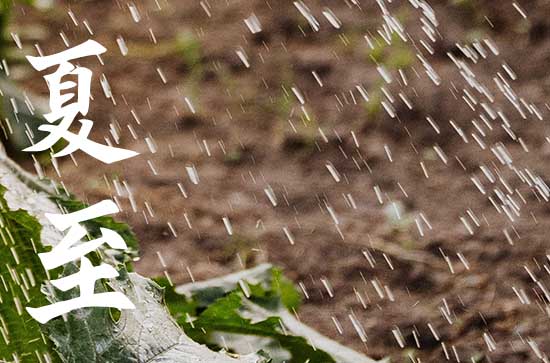 2023年6月21日是什么节日 2023年6月21日是夏至节气吗