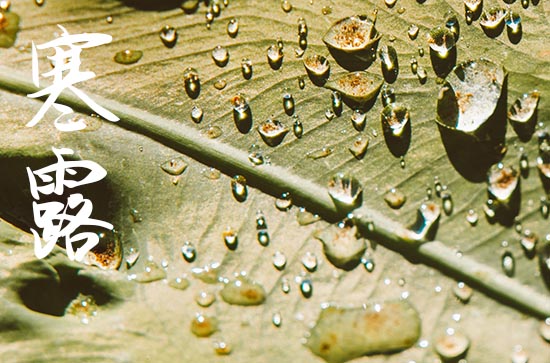 斗指寒甲是寒露 天气渐寒雨季结束