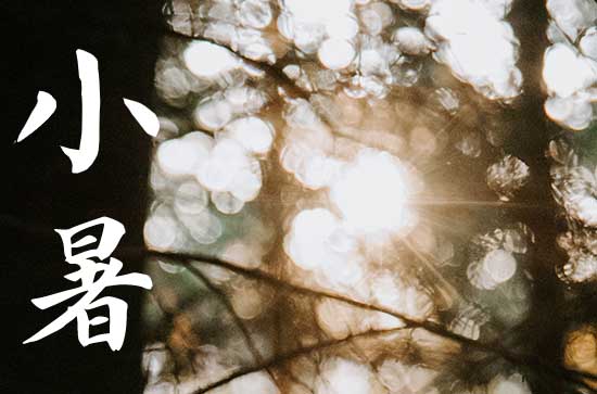 小暑是2024的几月几日 2024小暑那天挖坟墓好吗
