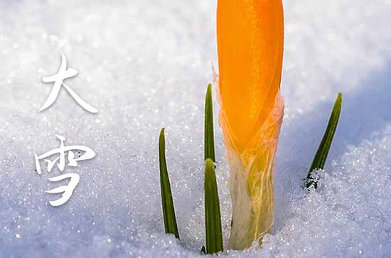 大雪暖心祝福句子