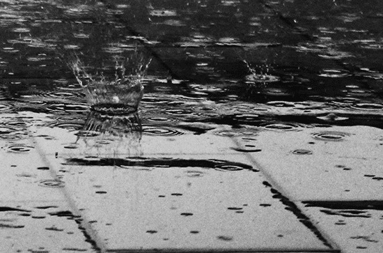 2024谷雨是农历哪一天 2024年4月19日谷雨当天赶海好吗