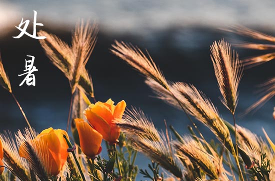 2024年处暑农历时间 2024处暑那天筑堤好不好 2024年处暑农历时间 2024处暑那天筑堤好不好