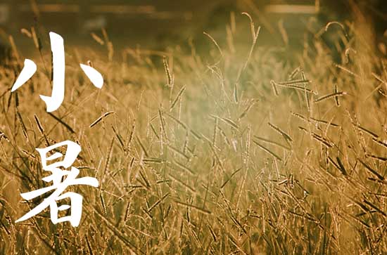 古代小暑节气习俗有哪些 小暑养生注意事项