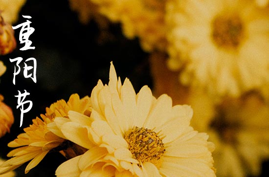 九九重阳节的起源 重阳节这天会干什么