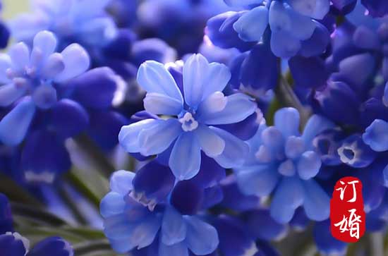 8月相亲吉日查询2024 2024年8月哪天相亲好 8月相亲吉日查询2024 2024年8月哪天相亲好