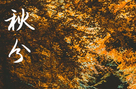 2024年农历几号秋分 2024年秋分入宅行不行