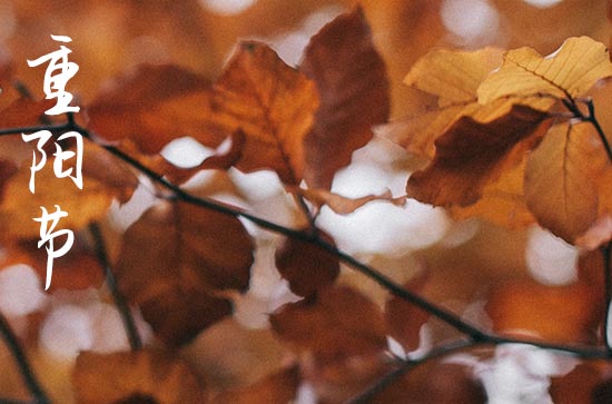 今年的九九重阳节是几号2023年