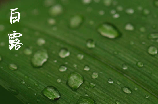 2024年白露是多少号 2024年白露弄坐船好吗