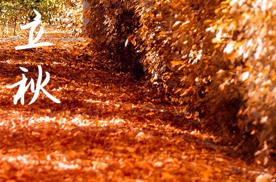 立秋是几月几号2024年 2024年立秋弄塑绘可以吗