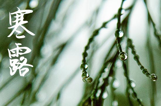 2023最火寒露早上好祝福语