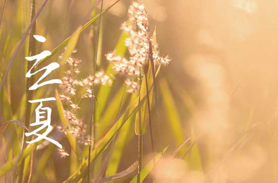 2024年立夏是星期几 2024年5月5日立夏这天移徙好不好