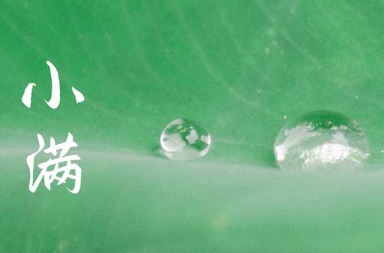 适合小满节气发的文案句子80句