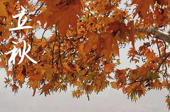 2024年什么时候立秋 2024年立秋制作寿衣行不行 2024年什么时候立秋 2024年立秋制作寿衣行不行