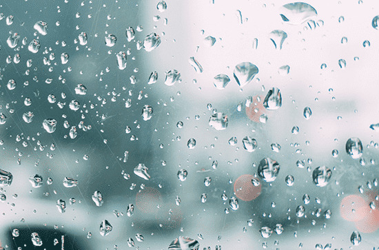 谷雨是几月几号2024年 2024年4月19日谷雨是看望病人吉日吗