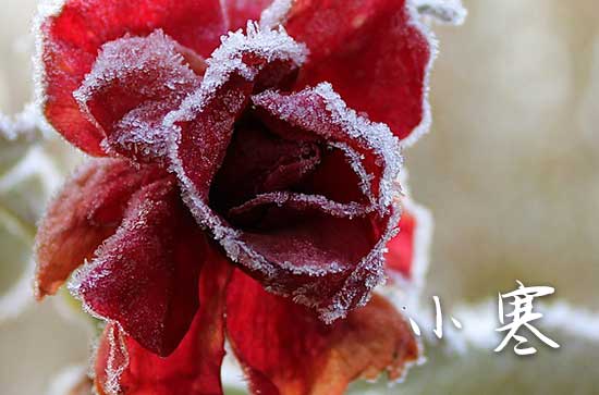 小寒暖心祝福语15篇