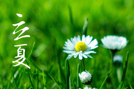 立夏2024年是几月几日星期几 2024年立夏进货可以吗