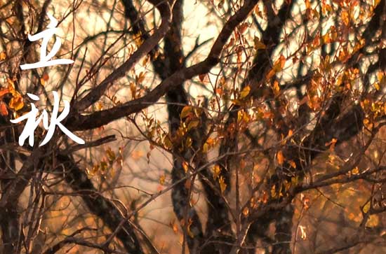 2024年立秋是几月几日 2024年立秋出行合适吗