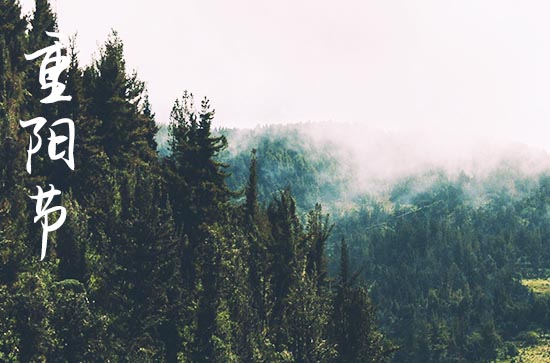 重阳节超走心祝福语大全201句 重阳节超走心祝福语大全201句