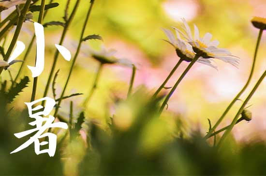 2024年小暑是哪一天 2024年小暑买鱼吉祥吗