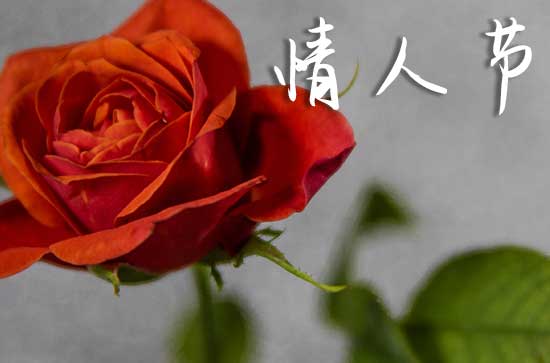 520爱人祝福语2024