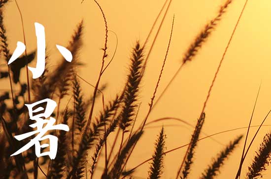 小暑是几月几号2024年 2024年小暑筑堤好不好