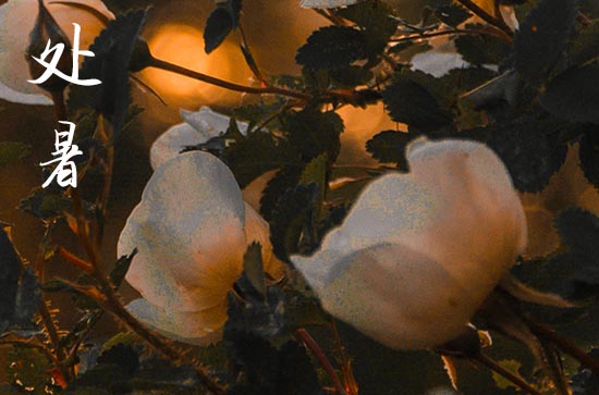 2024年什么时候处暑 2024年处暑打扫卫生吉祥吗